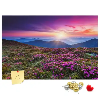 Kork Pinnwand Sonnenaufgang Blumen