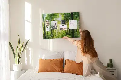 Kork Pinnwand Natur Wald Bäume