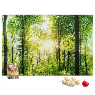 Kork Pinnwand Natur Wald Bäume