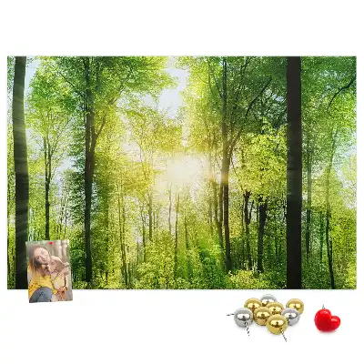 Kork Pinnwand Natur Wald Bäume