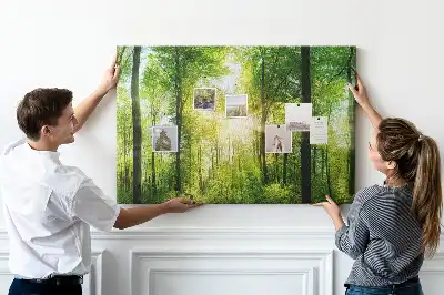 Kork Pinnwand Natur Wald Bäume