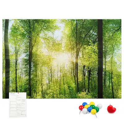 Kork Pinnwand Natur Wald Bäume