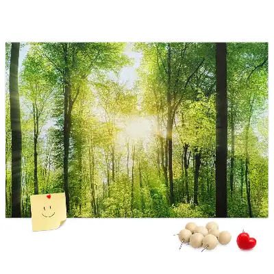 Kork Pinnwand Natur Wald Bäume