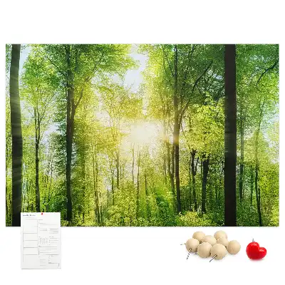 Kork Pinnwand Natur Wald Bäume