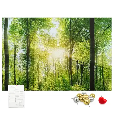 Kork Pinnwand Natur Wald Bäume