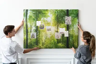 Kork Pinnwand Natur Wald Bäume