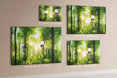 Kork Pinnwand Natur Wald Bäume