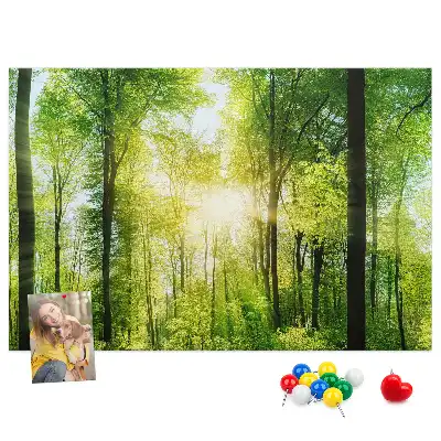 Kork Pinnwand Natur Wald Bäume