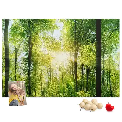 Kork Pinnwand Natur Wald Bäume
