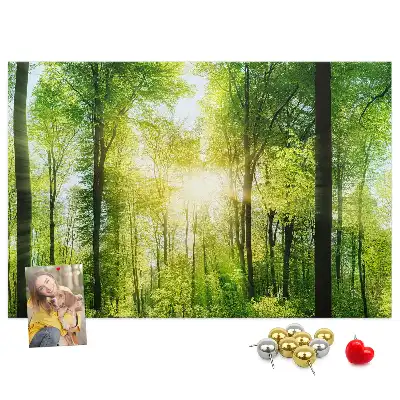 Kork Pinnwand Natur Wald Bäume