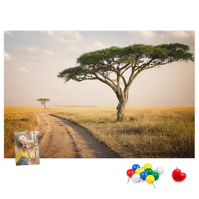 Kork Pinnwand Landschaft Afrikas