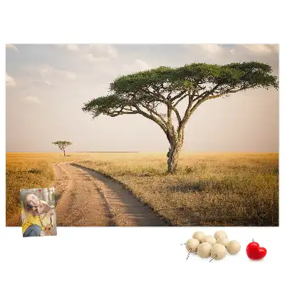 Kork Pinnwand Landschaft Afrikas