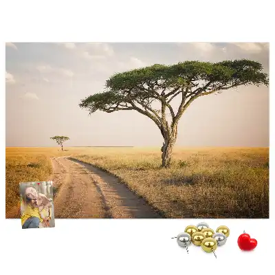 Kork Pinnwand Landschaft Afrikas