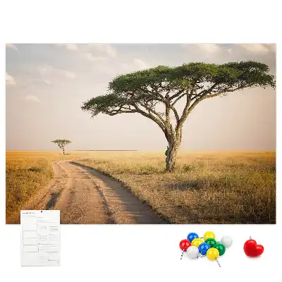 Kork Pinnwand Landschaft Afrikas