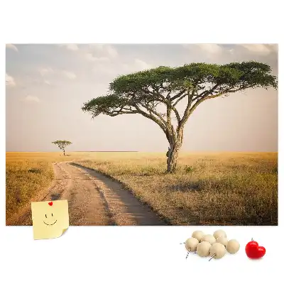 Kork Pinnwand Landschaft Afrikas