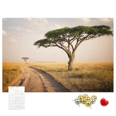Kork Pinnwand Landschaft Afrikas