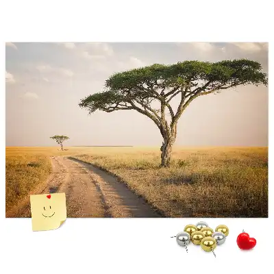 Kork Pinnwand Landschaft Afrikas