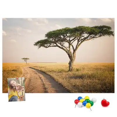 Kork Pinnwand Landschaft Afrikas