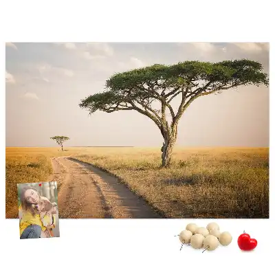 Kork Pinnwand Landschaft Afrikas