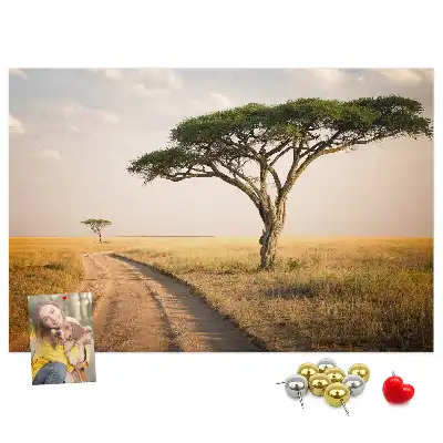 Kork Pinnwand Landschaft Afrikas
