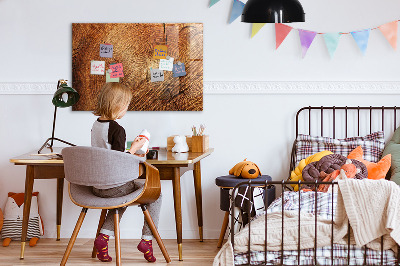 Magnetische, trocken abwischbare Tafel Alter Baumstamm