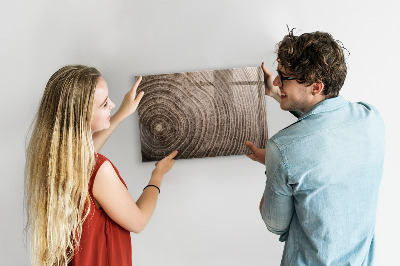 Magnetische, trocken abwischbare Tafel Stamm