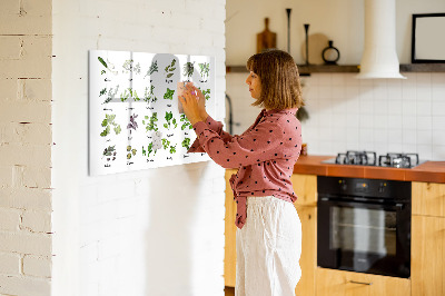 Beschreibbare magnettafel küche Arten von Bäumen