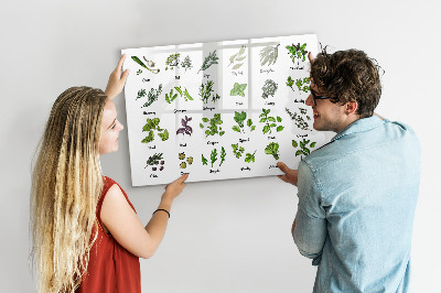 Magnettafel mit Marker Arten von Bäumen