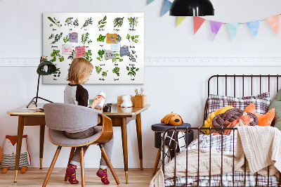 Beschreibbare magnettafel küche Arten von Bäumen