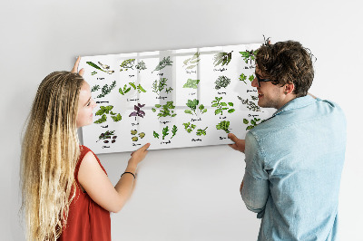 Beschreibbare magnettafel küche Arten von Bäumen