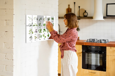 Beschreibbare magnettafel küche Arten von Bäumen