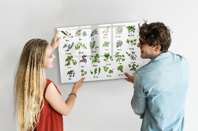 Magnettafel mit Marker Arten von Bäumen