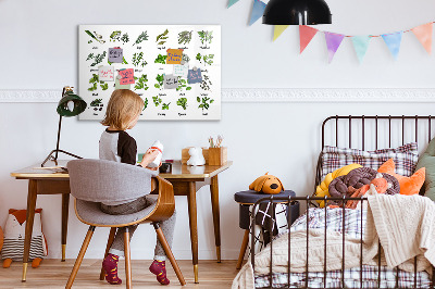 Beschreibbare magnettafel küche Arten von Bäumen