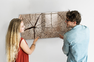 Beschreibbare magnettafel Alter Holzstumpf