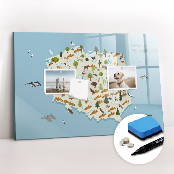 Beschreibbare magnettafel Polnische Tierkarte