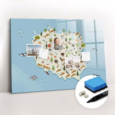 Beschreibbare magnettafel Polnische Tierkarte