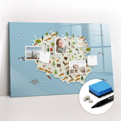 Beschreibbare magnettafel Polnische Tierkarte
