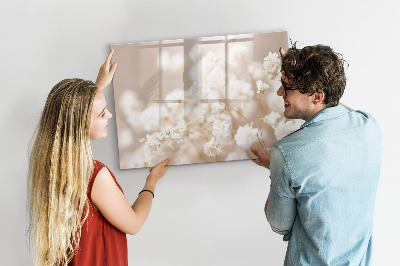 Magnetische Schreibtafel Kleine weiße Blüten