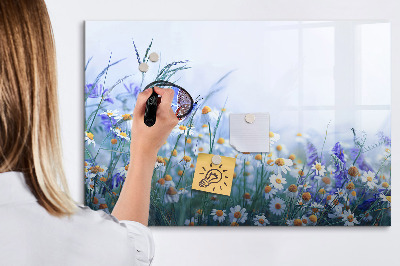 Beschreibbare magnettafel Schmetterling auf der Wiese