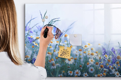 Beschreibbare magnettafel Schmetterling auf der Wiese