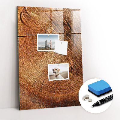 Magnettafel zum schreiben Querschnitt des Rumpfes