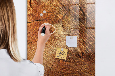 Magnettafel zum schreiben Querschnitt des Rumpfes