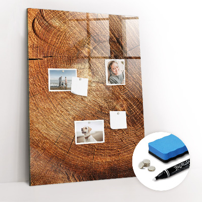 Magnettafel zum schreiben Querschnitt des Rumpfes