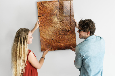 Magnettafel zum schreiben Querschnitt des Rumpfes