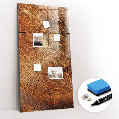 Magnettafel zum schreiben Querschnitt des Rumpfes