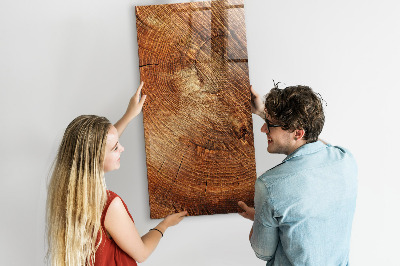 Magnettafel zum schreiben Querschnitt des Rumpfes