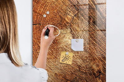 Magnettafel für Kinder Querschnitt des Rumpfes