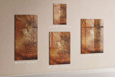 Magnettafel zum schreiben Querschnitt des Rumpfes