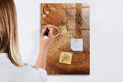 Magnettafel zum schreiben Querschnitt des Rumpfes