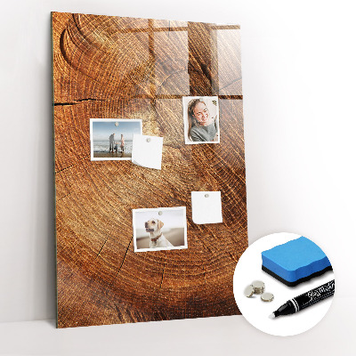 Magnettafel zum schreiben Querschnitt des Rumpfes